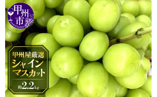山梨県　勝沼産　シャインマスカット 5kg 楽天市場】シャインマスカット 送料無料 【 山梨県産 シャイン