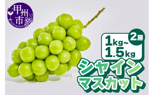 農林水産大臣賞受賞!!】シャインマスカット2房1～1.5kg【2024年発送】（AGB）B12-445 - 山梨県甲州市｜ふるさとチョイス -  ふるさと納税サイト