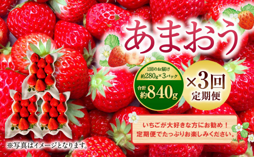 2024年1月下旬より順次発送】【3回定期便】あまおう 約280g×3パック