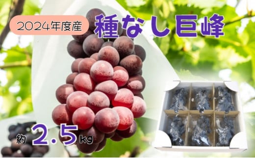 y쌧⑺zy2026Ns\z󂠂 Ȃo[EopbN2.5kg ʕ Ԃǂ t[c