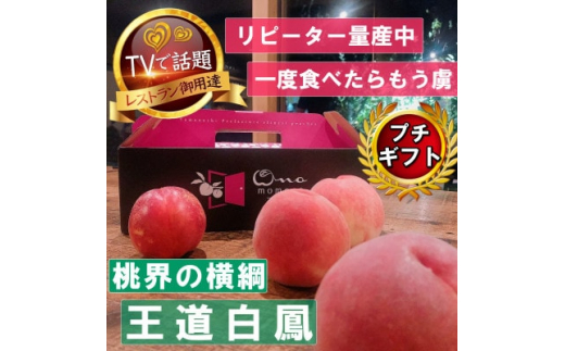 【山梨県山梨市】<桃界の横綱キング白鳳>人気品種指定ギフト5年連続TV出演話題ブランド桃2026年7月上旬発送【1465186】