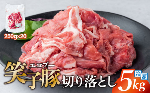 【岩手県金ケ崎町】豚肉 切り落とし 小分け 5kg (250g×20) 真空パック 冷凍 笑子豚  岩手県 金ケ崎町