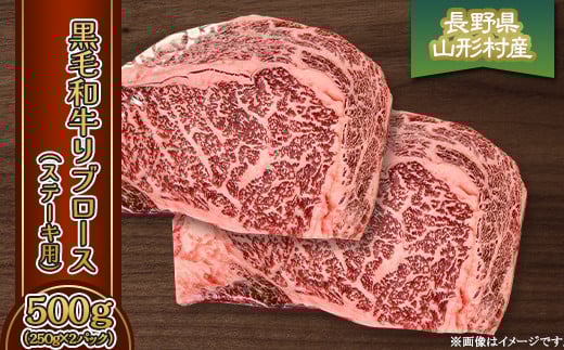 y쌧R`zјa u[XiXe[Lpj500g(250g×2pbNj쌧Y 3620