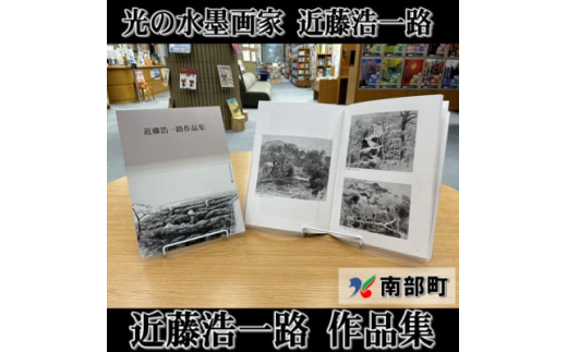 南部町立美術館 常設展図録『近藤浩一路作品集』【1466539】 - 山梨県