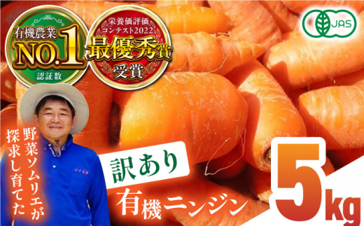 【訳あり】有機 ニンジン 規格外品 約5kg 野菜 にんじん 人参 有機JAS認定 オーガニック野菜 熊本県産 山都町産 産地直送 熊本直送  【グリーンファーム矢部】[YDC004]