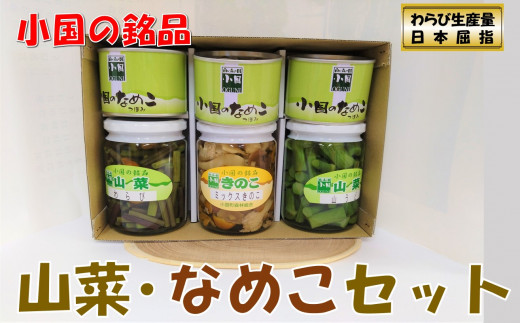 【山形県小国町】山形県小国町産山菜セット(なめこ缶つぼみ3缶・わらび・山うど・ミックスきのこ瓶)