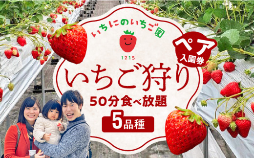 いちご狩り 5品種 食べ放題 50分 ペア入園券 いちにのいちご園　N085-A839