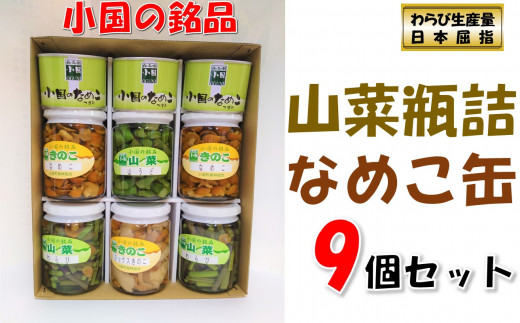 山形県小国町産山菜セット（なめこ缶つぼみ3缶・わらび2瓶・なめこ2瓶・山うど・ミックスきのこ瓶）