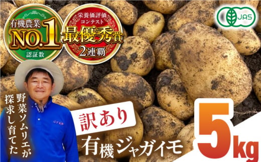 【数量限定】【訳あり】有機 ジャガイモ 約5kg 規格外品 野菜 じゃがいも 馬鈴薯 有機JAS認定 オーガニック野菜 熊本県産 山都町産 産地直送  熊本直送【グリーンファーム矢部】[YDC005]