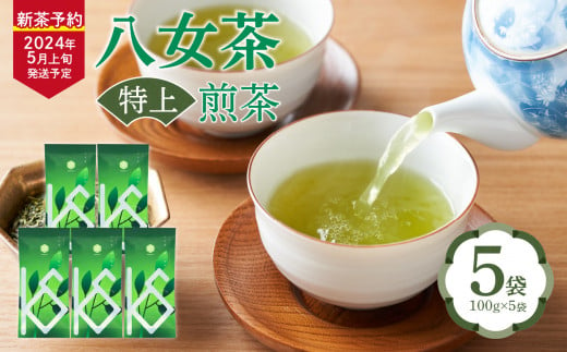 【2024年新茶予約】八女茶 特上煎茶100g×5袋【2024年5月上旬発送予定】