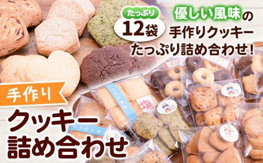 手作りクッキー詰め合わせ 12袋 多機能型事業所かさおか《45日以内に出荷予定(土日祝除く)》お菓子 焼き菓子 スイーツ お土産 手作り おすすめ  素材 デザート おやつ ギフト 贈答 岡山県 笠岡市