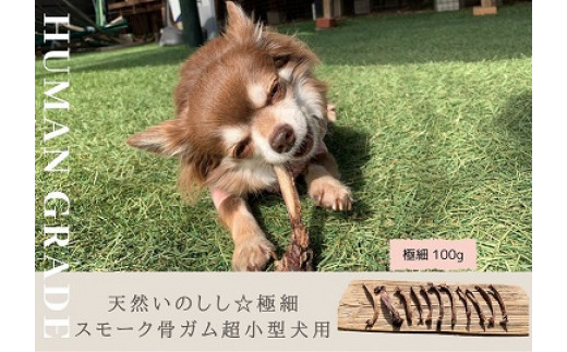 FB153 犬の無添加ごはん☆具だくさんカレー＆クリームシチュー