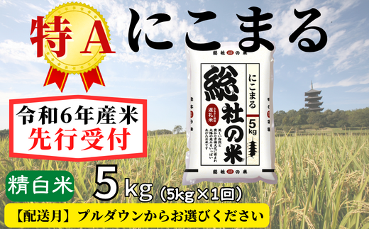 ふるさと納税 【令和6年産】特Aにこまる【精白米】10kg 岡山県総社市産