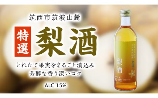 y錧}szy I z  AR[ 15 i 500ml × 1{ j ʎ    Ȃ iV [DP007ci]