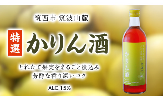 y錧}szy I z  AR[ 15 i 500ml × 1{ j ʎ    [DP005ci]