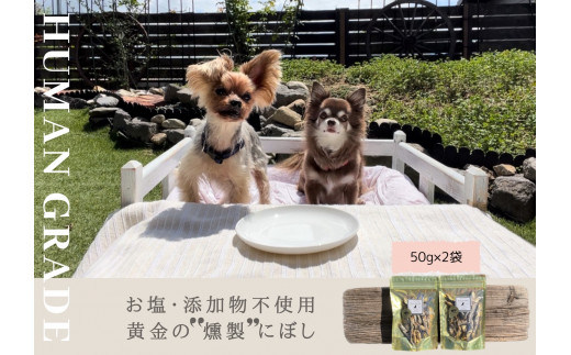 FB153 犬の無添加ごはん☆具だくさんカレー＆クリームシチュー