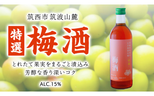 y錧}szy I z ~ AR[ 15i 500ml × 1{ j ʎ   ~  E [DP002ci]