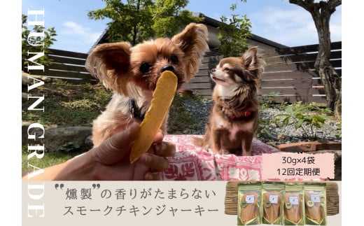 FB152 犬の無添加おやつ☆燻製の香りがたまらないスモークチキン