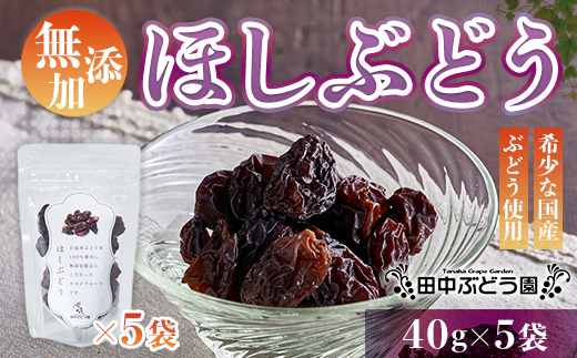 ほしぶどう 40g×5袋 国産 ドライフルーツ 無添加 複数品種 希少 レア