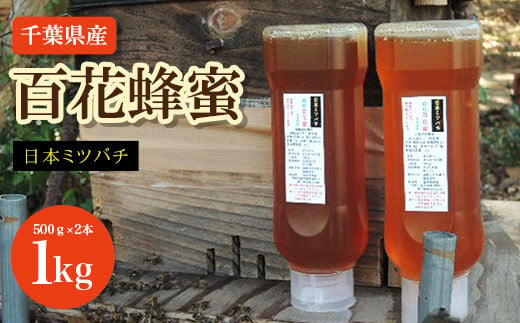 千葉県産 日本みつばち百花蜂蜜 1kg（500ｇ×2本） ふるさと納税 蜂蜜 日本みつばち 百花蜂蜜 はちみつ ハチミツ ミツバチ 千葉県 大網白里市  AP001 - 千葉県大網白里市｜ふるさとチョイス - ふるさと納税サイト