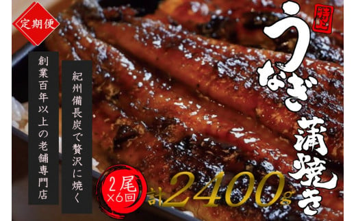 全6回定期便】極上！国産うなぎ蒲焼 2尾×6回 計12尾 約2400g 創業100年以上続く老舗 紀州備長炭でじっくり焼き上げた専門店の味  （タレ・山椒付き）/ うなぎ ウナギ 鰻 蒲焼 国産 ふるさと納税【tkb319】 - 和歌山県新宮市｜ふるさとチョイス - ふるさと納税サイト