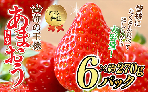 【 福岡県産 あまおう 】 グランデ等級 270ｇ×6Ｐ（2月～4月上旬頃