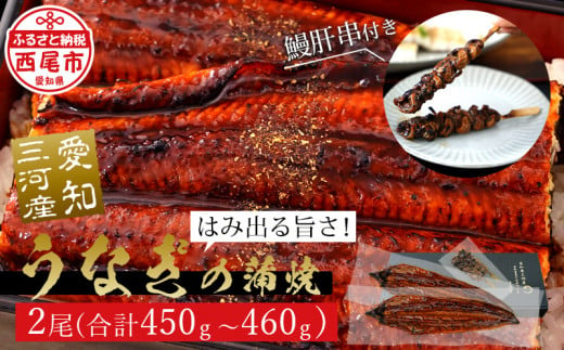 【12/20迄の入金確認で年内お届け】三河産うなぎ「蒲焼き冷凍×2尾(450ｸﾞﾗﾑ～460ｸﾞﾗﾑ)＋鰻肝串2本付き」・A170