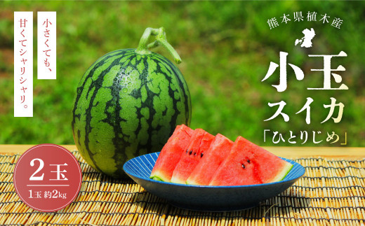 2023年8月下旬発送開始】熊本市産 芳野梨 旬の品種 5kg なし ナシ 梨