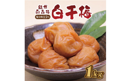 ya̎R쒬z~1kg@15ya̎RYzIB썂~@쒬@Ȃ݂̗~