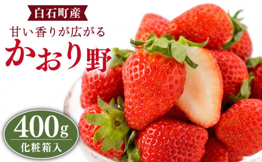 2026年1月以降発送】【農家直送】かおり野 400g（化粧箱入り）/ いちご