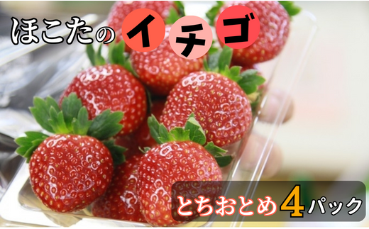 【1月発送】JＡほこた　なだろう　いちご（とちおとめ4パック） 2023/10/1～