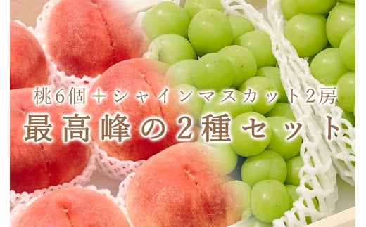 定期便】笛吹市産 大玉桃6個と大粒シャインマスカット2房の2種セット 193-012 - 山梨県笛吹市｜ふるさとチョイス - ふるさと納税サイト