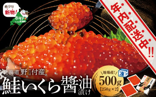 12月26日受付まで年内配送】本場「北海道」のいくら醤油漬け 500g