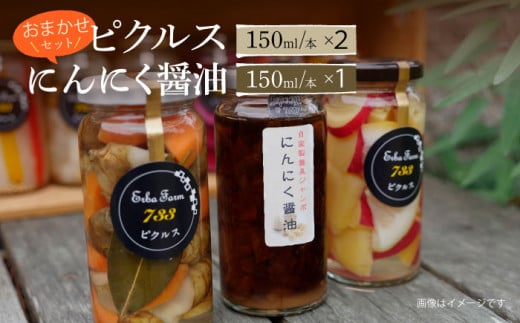 【農家のこだわり野菜使用】おまかせ ピクルス 2本 + にんにく 醤油 1本 セット《築上町》【ERBA　FARM733】 [ABAP002]  11000円