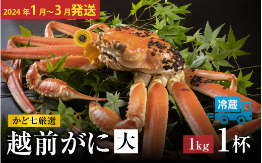 かど七厳選 越前がにオス（大）約1kg×1杯【2024年2月発送】 [J-045007_02] - 福井県福井市｜ふるさとチョイス -  ふるさと納税サイト