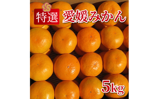 特選 愛媛みかん 5kg みかん 蜜柑 果物 フルーツ 柑橘 プレゼント ギフト 贈答 秀品 ビタミン 健康 美容 甘い 糖度 愛媛 愛南町  清家ばんかんビレッジ 発送期間：11月1日~1月25日