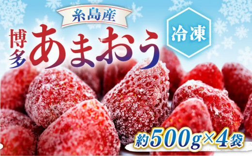 博多 冷凍 あまおう 約500g×4袋 合計約2kg 糸島市 / エイチアンドフューチャーズ [APN003] 2キロ いちご