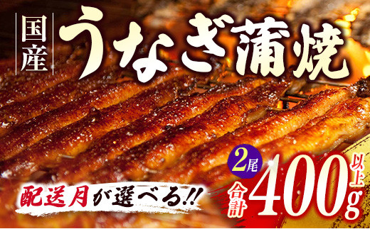 配送月が選べる!!＞鰻楽 国産うなぎ蒲焼2尾（無頭）計400g以上 新富町