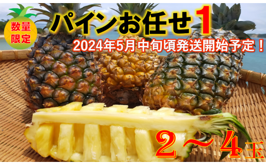 東村産パインアップルお任せセット１(2～4個)　【2024年発送】