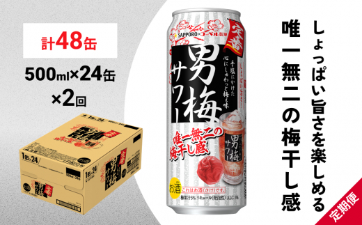 サッポロ 男梅 サワー 500ml×24缶(1ケース)×定期便2回(合計48缶) 缶