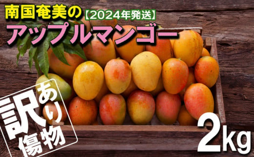 南国奄美のアップルマンゴー 傷物・訳あり2kg【2024年発送】