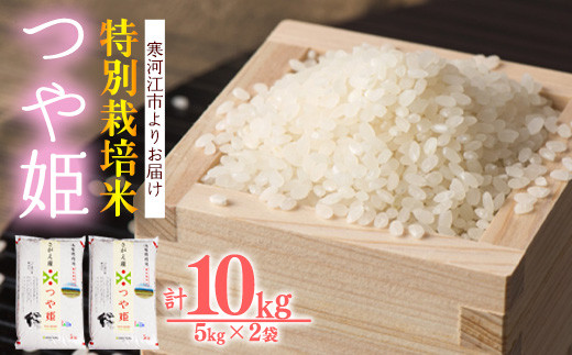 山形県産特別栽培米つや姫10kg(2kg×5袋)白米