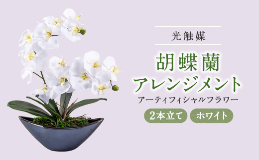 yszA[eBtBVt[ӒAWgG} (zCg)y1033169z