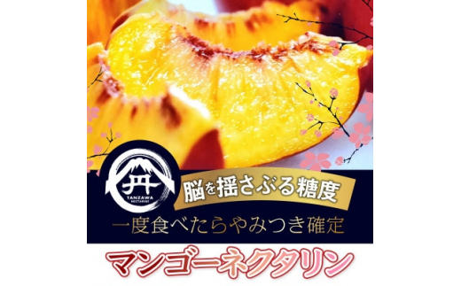 yRRszxHׂ߂Ȃ}S[lN^݂s[^[o2026N7{蔭y1468751z