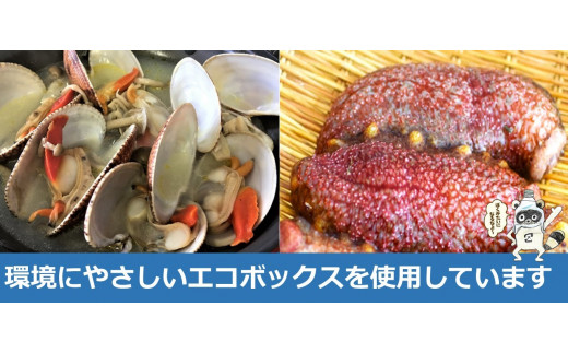 ☆冬のぷち海鮮☆人気の赤なまこ500ｇ+ぶちうまヒメ貝1ｋｇ☆お得な2点