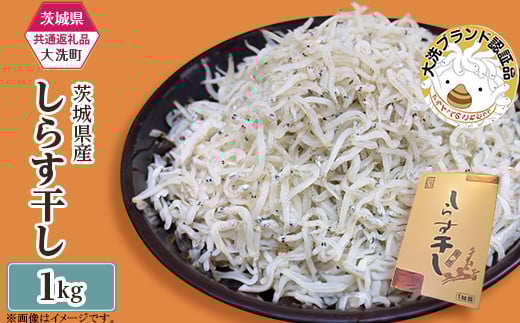 y錧钬z389 炷 1kg(1pbN)y錧ʕԗi/z