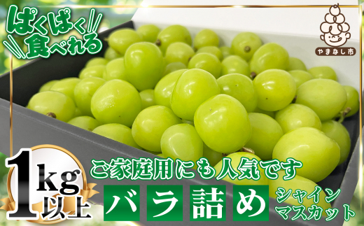 2024年発送＞山梨県産シャインマスカット1kg以上(バラ詰め)【1374769