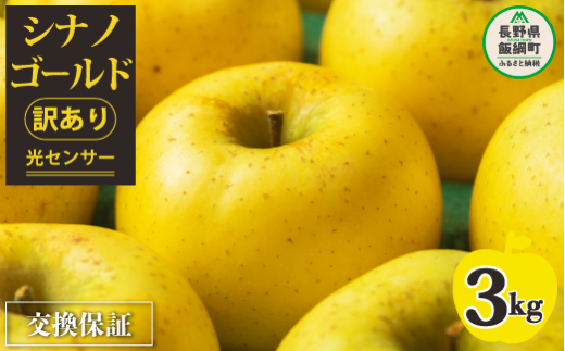 令和６年度先行予約】 りんご 3kg （７〜１５玉） シナノゴールド 果物