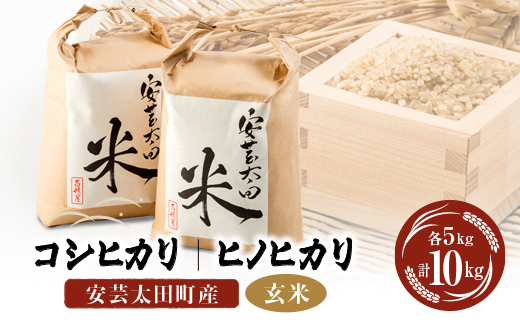 【fruit farm 様】専用　玄米（8㎏×3袋）令和６年産新米ブレンド米 fruit farm 様】専用 玄米（8㎏×3袋）令和6年産新米ブレンド米