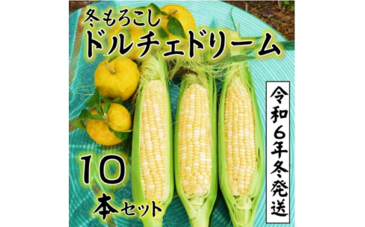 令和6年11月～発送分受付＞朝採り「冬もろこし」!「ドルチェドリーム」10本セット(約5キロ)【1467652】 - 山梨県南部町｜ふるさとチョイス  - ふるさと納税サイト